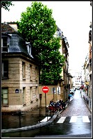 PARI in PARIS - 0177